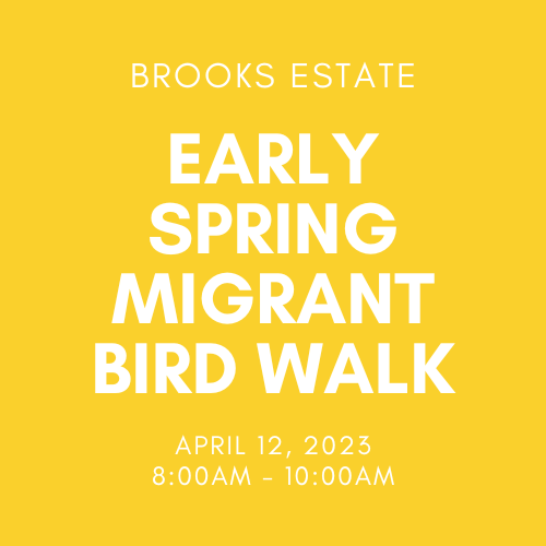 Early Spring Migrant Bird Walk!