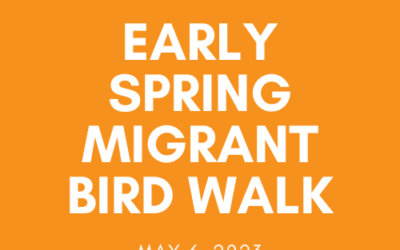 Bird Walk – More Early Spring Migrants!