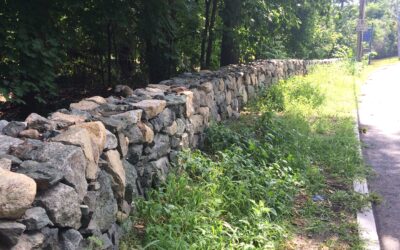 Fieldstone Wall Restoration Update
