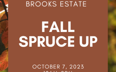 Fall Spruce Up