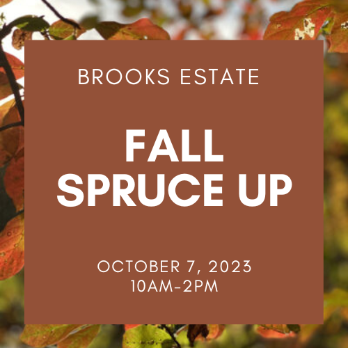 Fall Spruce Up