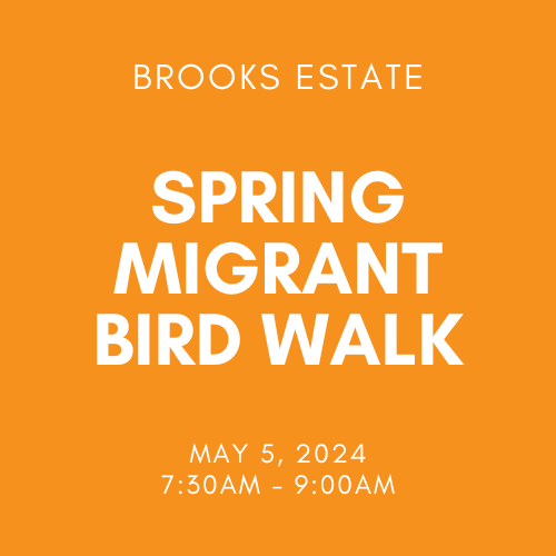 Spring 2024 Bird Walk